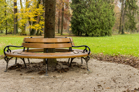 Autumn in Maksimir park, bench around the treeの写真素材