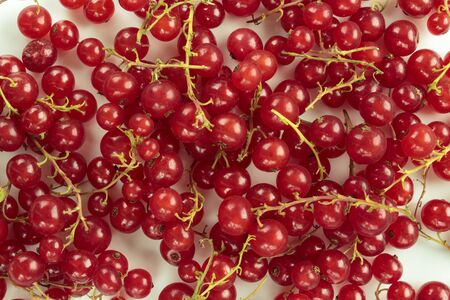 Red currant background