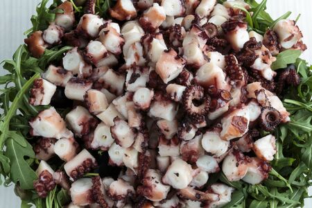 Sliced octopus and rucola leaves prepared for saladの写真素材