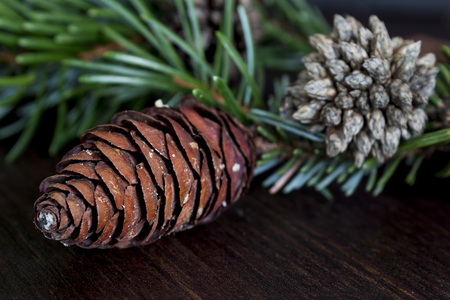Pinecone background