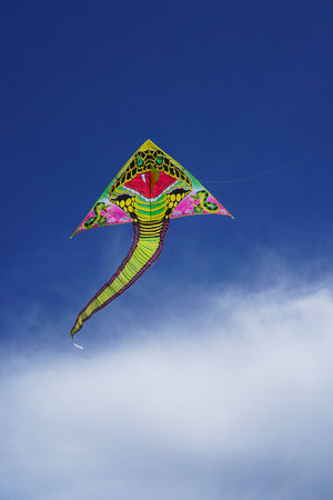 Yellow kite in the form of a snake on a blue sky.の写真素材