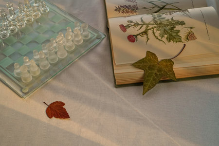 Book with herbarium, chess and autumn leaves. Backdrop with space for text. Concept of hobby and leisure. Top view.の写真素材