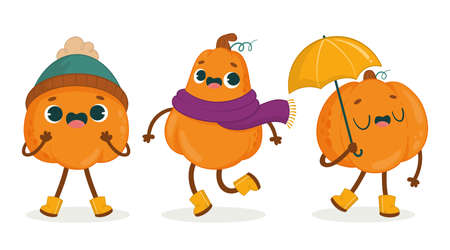 Collection of Kawaii style autumn pumpkins in different posesのイラスト素材