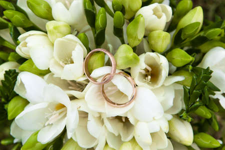 Wedding ringsの写真素材