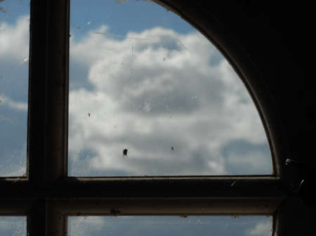 Round window with spider