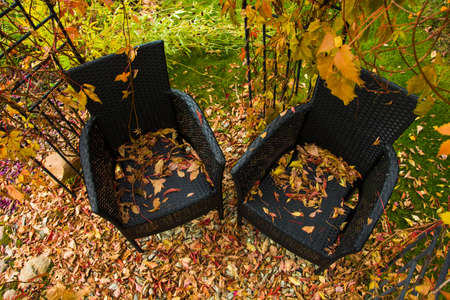Two black garden chairs and autumn leavesの写真素材