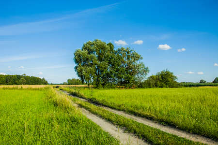 Road through the meadowsの写真素材