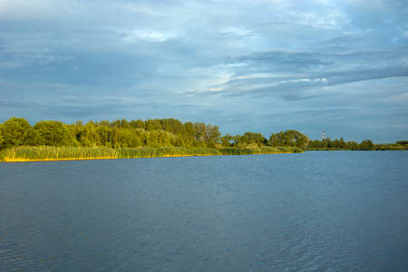 Trees on the shore of the lakeの写真素材