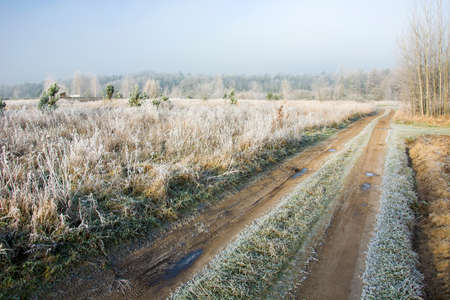 Hoarfrost on a dirt road and meadowの写真素材