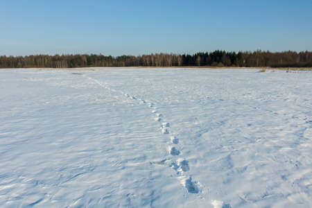 Snow traces in the fieldの写真素材