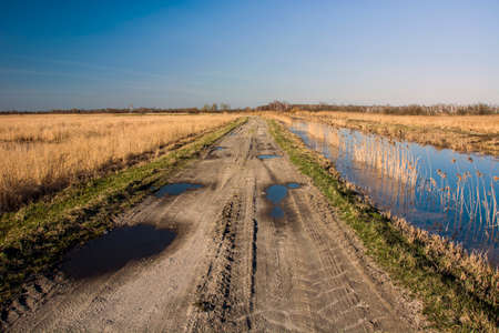 Puddles on dirt roadの写真素材
