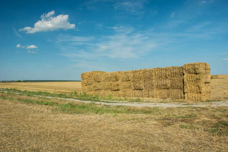 Square hay bales on the field, country road and blue sky