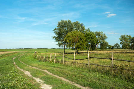 Rural road through a green meadow, wooden fence and trees