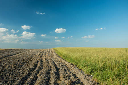 Plowed field bordering a green meadow, horizon and white clouds on a blue skyの写真素材