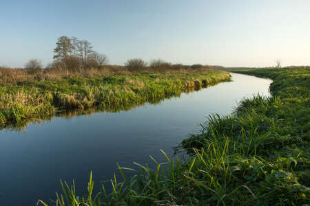Green grassy shore and a calm clean river. Poland, the Uherka River