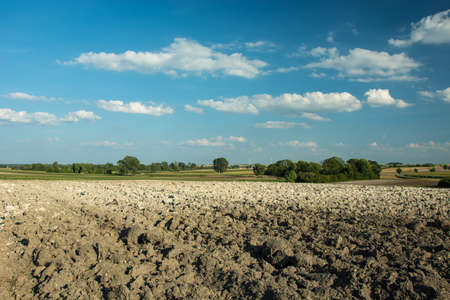 Plowed field, trees on the horizon and white clouds on a blue sky
