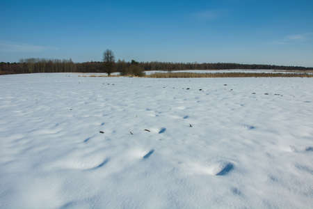 Snow on meadow, forest and blue sky