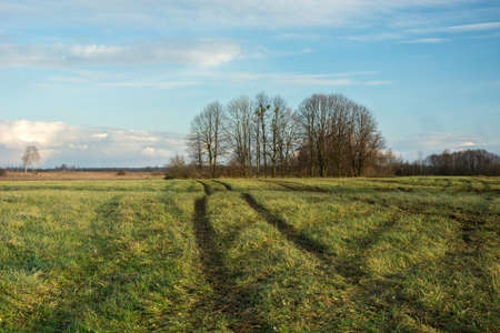 Traces of wheels in the field, fertilized field with manure, trees without leaves, clouds on the skyの写真素材
