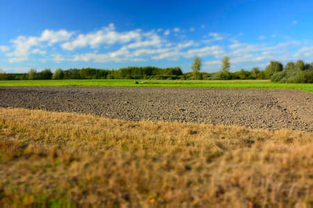 A large stubble field, plowed field, forest and cloudsの写真素材