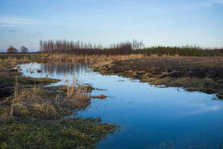 blue water in the field