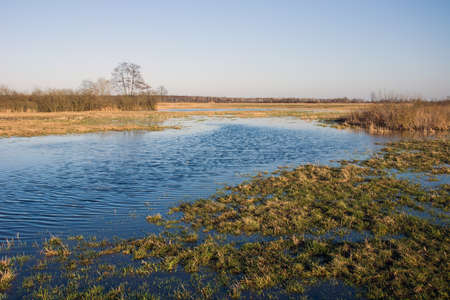view of a flooded meadow