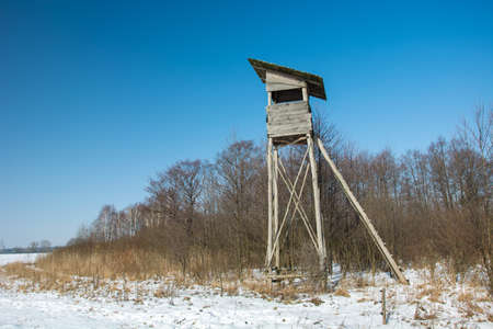 Wooden pulpit for hunters in front of the forest and cloudless blue sky - winter viewの写真素材