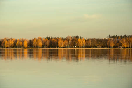 Autumnal yellow trees on the shore of the lake reflecting in the water and skyの写真素材