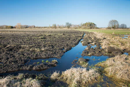 Plowed field and water after rain, large trees without leaves on the horizon and blue sky