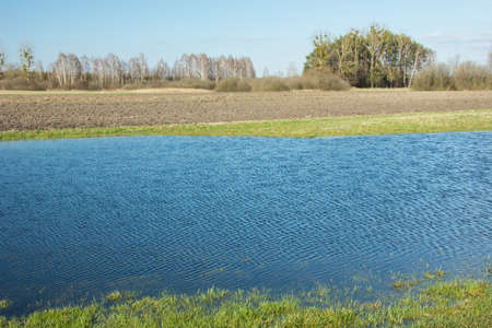 Blue water after rain on the field, trees and sunny sky - spring viewの写真素材