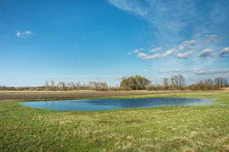 Water after rain on the meadow, clouds on blue sky - view on a sunny dayの写真素材