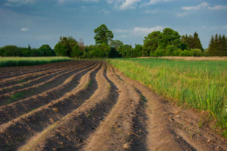 Plowed field, trees on the horizon and dark clouds on the skyの写真素材