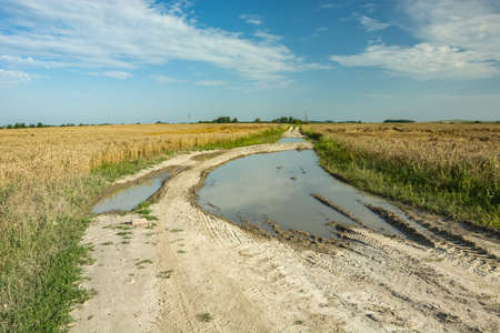 Puddles on a dirt road, white clouds and blue sky. Staszyce, Poland
