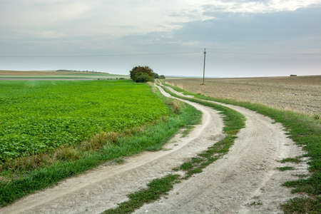 Dirt road winding between fields, trees on the horizon and a cloudy sky. Staw, Polandの写真素材
