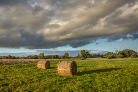 Two round hay bales in the meadow, trees and clouds in the sky. Nowiny, Polandの写真素材