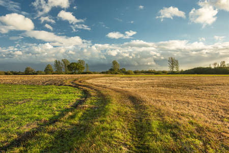 A winding road through fields and clouds in the skyの写真素材
