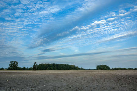 Clouds in the blue sky over a plowed fieldの写真素材
