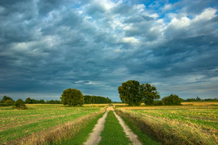 Road through fields and dark rainy clouds in the sky