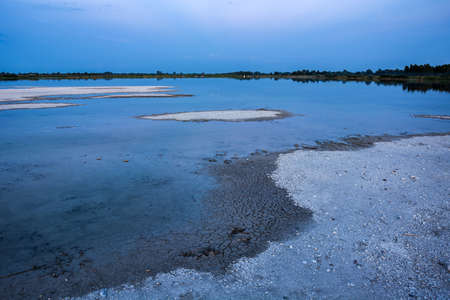 Dry lake shore due to drought in Staw, Poland.の写真素材