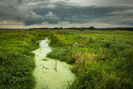 Wild overgrown small river, horizon and dark storm cloudsの写真素材