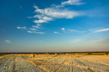 White clouds in the evening blue sky, hay bales on stubble
