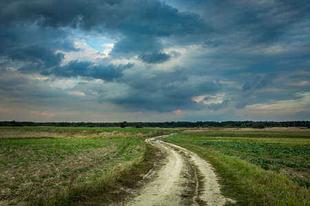 Country road through fields, horizon and dark rainy clouds on skyの写真素材
