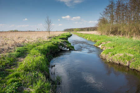 River flowing in eastern Poland - view on a sunny dayの写真素材