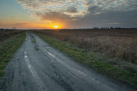 Dirt road, tall grasses and orange sunset, evening clouds,の写真素材