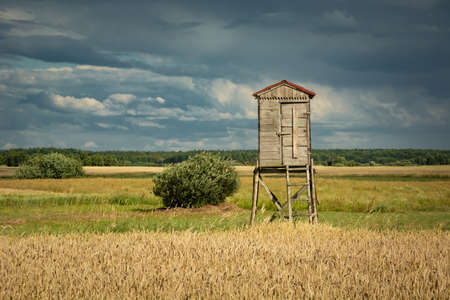Observation booth with ladder in the grain, horizon and dark clouds on the skyの写真素材