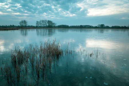 Water canes in the frozen lake, trees on the horizon and clouds on the sky