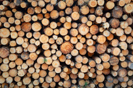 Pile of cut wood and evenly stacked