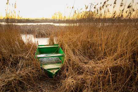 Green small boat on the shore in the reedsの写真素材