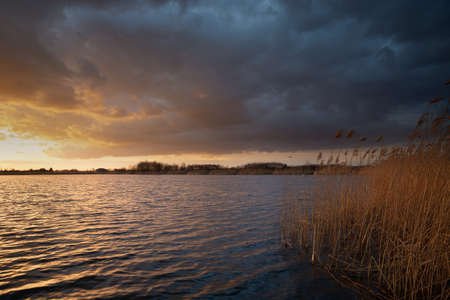 Dark clouds lit by the sun on a lake with reeds, evening viewの写真素材