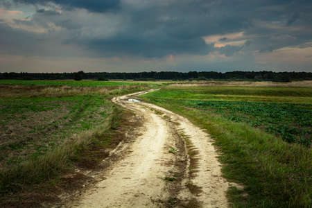 Sandy road through green meadows and fields, dark rainy evening cloudsの写真素材