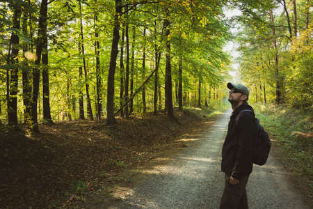 A man looking up at the trees in the green forest, first days of autumnの写真素材